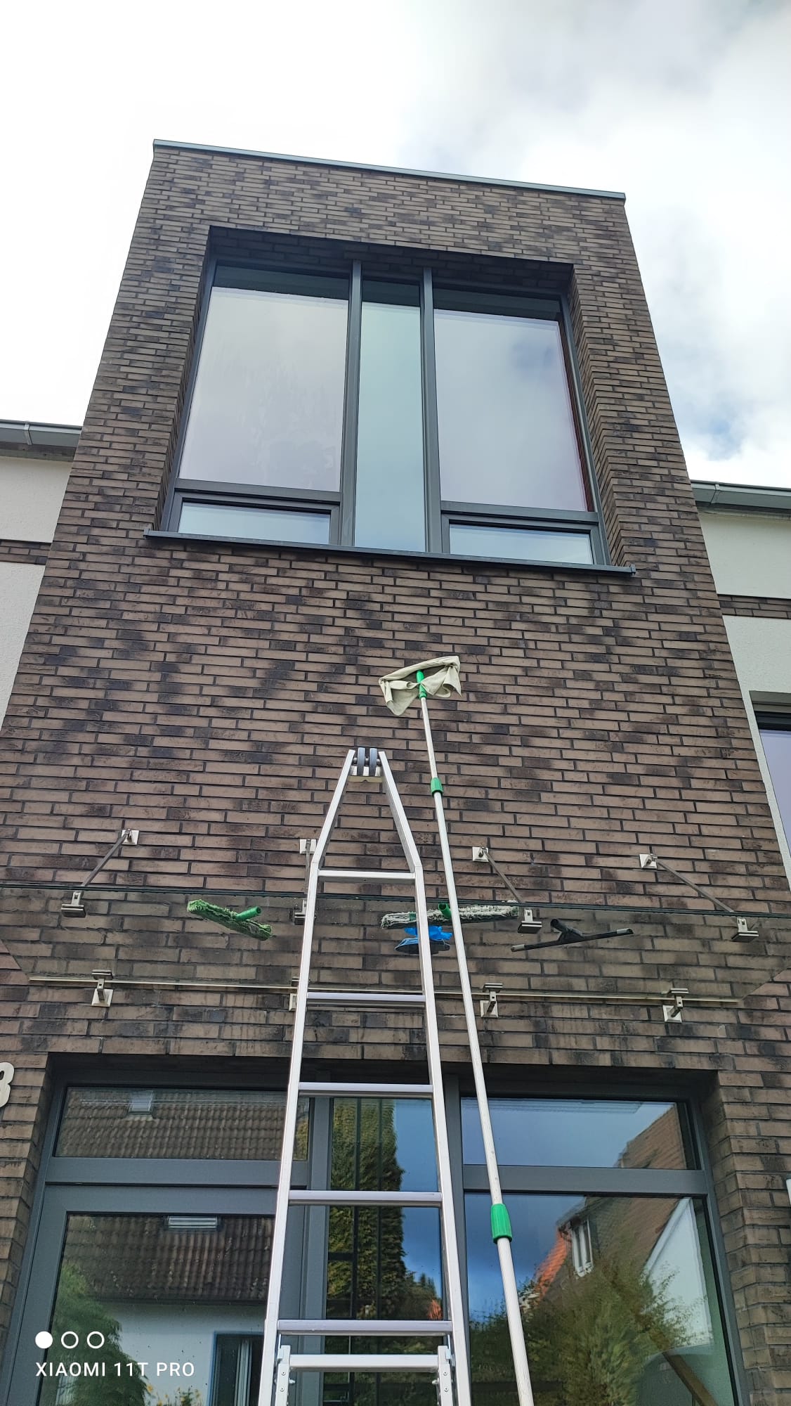 Professionelle Fensterreinigung